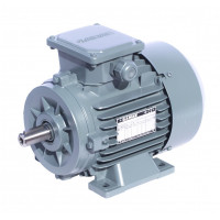 Электродвигатель GAMAK GMM 450 LH 2c 1000 кВт 3000 об/мин 1081