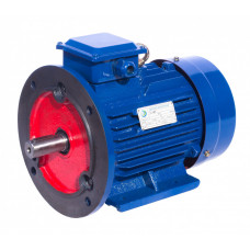 Электродвигатель АИР 250 S8 (АИР250S8) 37 кВт 750 об/мин 2081