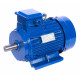 Электродвигатель АИР 63 А2 (АИР63А2) 0,37 кВт 3000 об/мин 1081