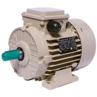 Электродвигатель LEDERMANN L3E A 180MA2 22 кВт 3000 об/мин B3