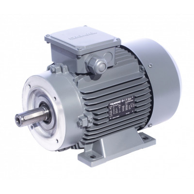 Электродвигатель GAMAK AGM 100 L 4b 3 кВт 1500 об/мин 2101