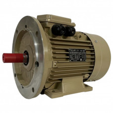 Электродвигатель LEDERMANN L3E A 100LB4 3 кВт 1500 об/мин В35