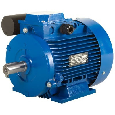 Однофазный электродвигатель АИРЕ 56 С2 (АИРЕ56С2) 0,25 кВт 3000 об/мин